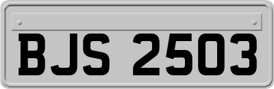 BJS2503