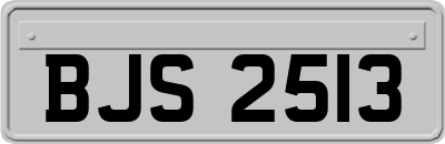 BJS2513