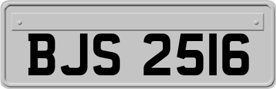 BJS2516