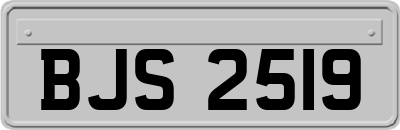 BJS2519