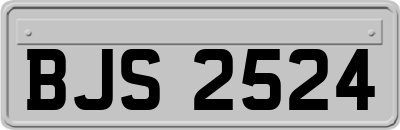 BJS2524