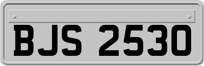 BJS2530
