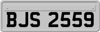 BJS2559