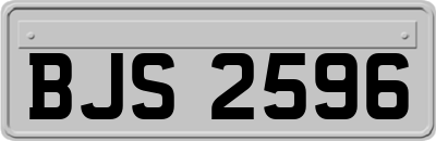 BJS2596