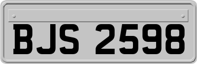 BJS2598