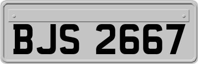 BJS2667