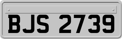 BJS2739