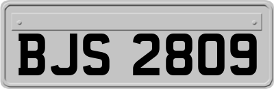 BJS2809