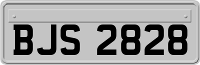 BJS2828