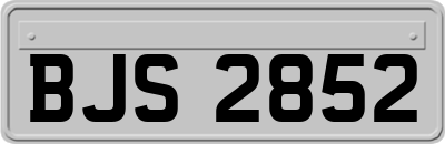 BJS2852