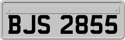 BJS2855