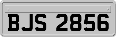 BJS2856