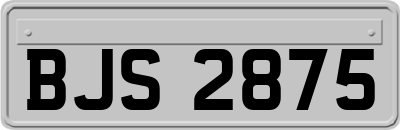BJS2875
