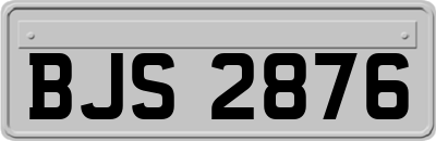 BJS2876