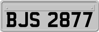 BJS2877