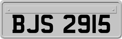 BJS2915