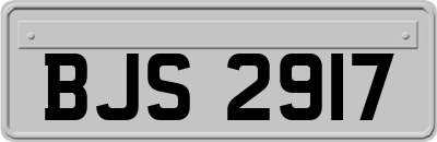 BJS2917