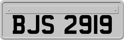 BJS2919