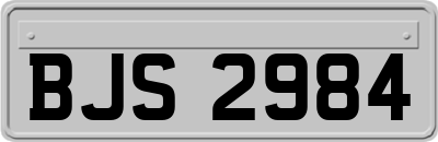 BJS2984