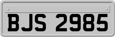 BJS2985