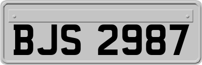 BJS2987