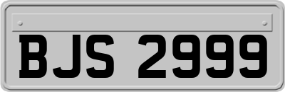 BJS2999