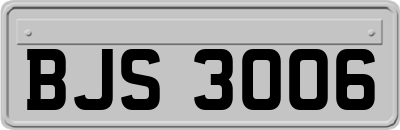 BJS3006