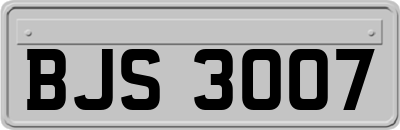 BJS3007