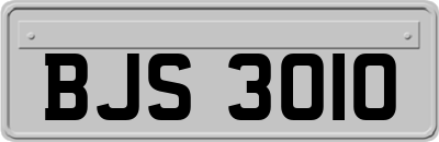 BJS3010