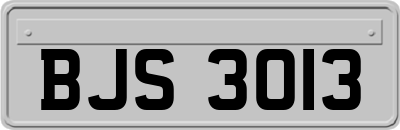BJS3013