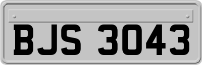 BJS3043