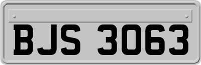 BJS3063