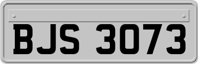 BJS3073