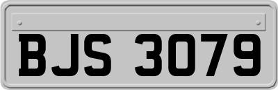 BJS3079