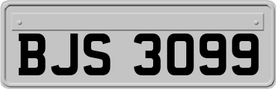 BJS3099