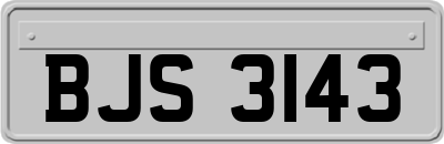 BJS3143