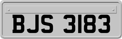 BJS3183