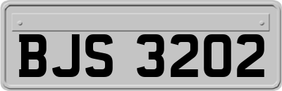 BJS3202