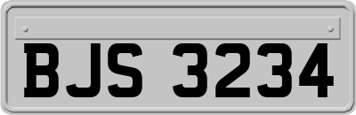 BJS3234