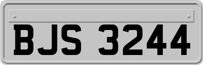 BJS3244