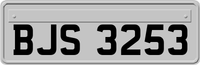 BJS3253