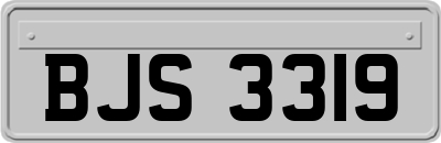 BJS3319