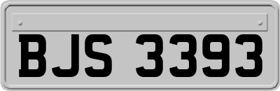 BJS3393