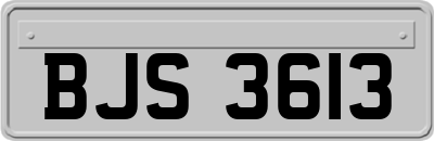 BJS3613