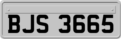 BJS3665