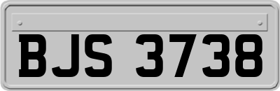 BJS3738