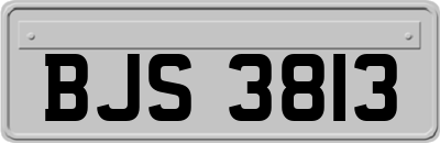 BJS3813