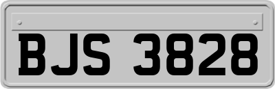 BJS3828