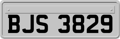 BJS3829