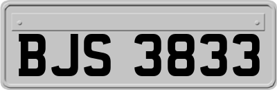 BJS3833